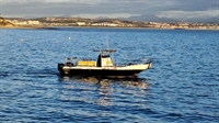 fishing charter business garden - 3