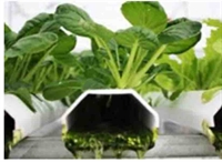 grow organic plus micro - 3