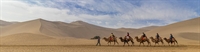 profitable travel agent with - 2