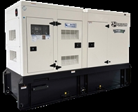 established generator sales installation - 3