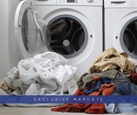 bargain profitable laundromat for - 1