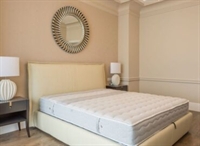 bed mattress specialist business - 1