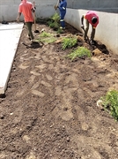 gardening landscaping services business - 3