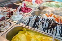 established premium frozen yoghurt - 1