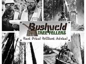professional tree felling company