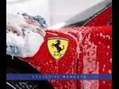 specialized car wash business