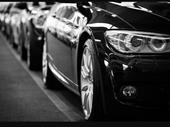highly profitable motor consulting