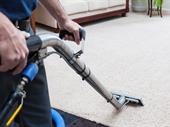 carpet cleaning business western