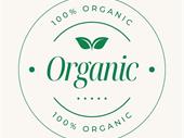 eco-friendly homebrand business cape
