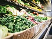 highly profitable fruit veg