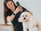 mobile grooming flexible lifestyle