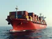 import distribution building supplies