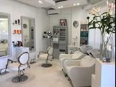 well established hair dressing