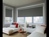 established profitable blinds shutter