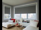 established profitable blinds shutter