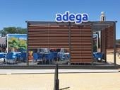 new adega franchises now