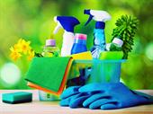 high-profit green cleaning business