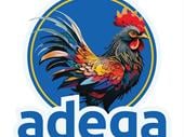 new adega fast food