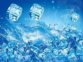 established profitable water ice