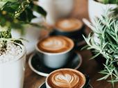 established café licensed hospitality