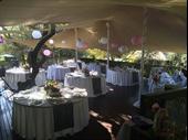 continental restaurant highly profitable
