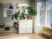established profitable blinds business