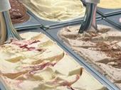 profitable gelato ice-cream business