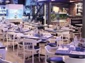 premium restaurant franchise opportunity