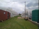 fully automated commercial greenhouse
