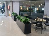 coffee shop restaurant