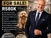 doggy parlour helderberg area