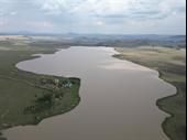 cattle farm diamond mine