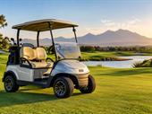 established electric mobility business