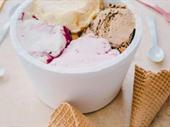 established ice cream manufacturing