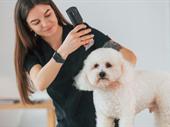 lucrative mobile pet grooming